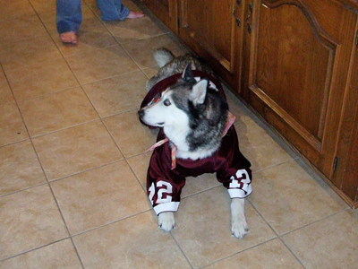 Kema is an Aggie 08.JPG